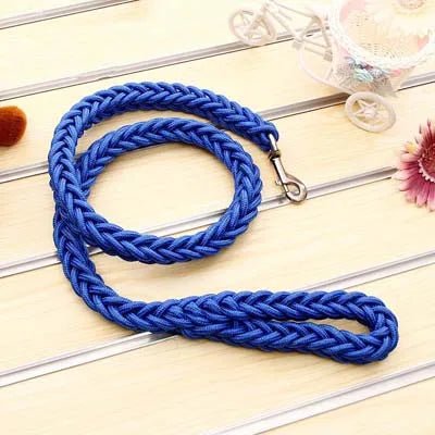 Laisse corde gros chien bleu
