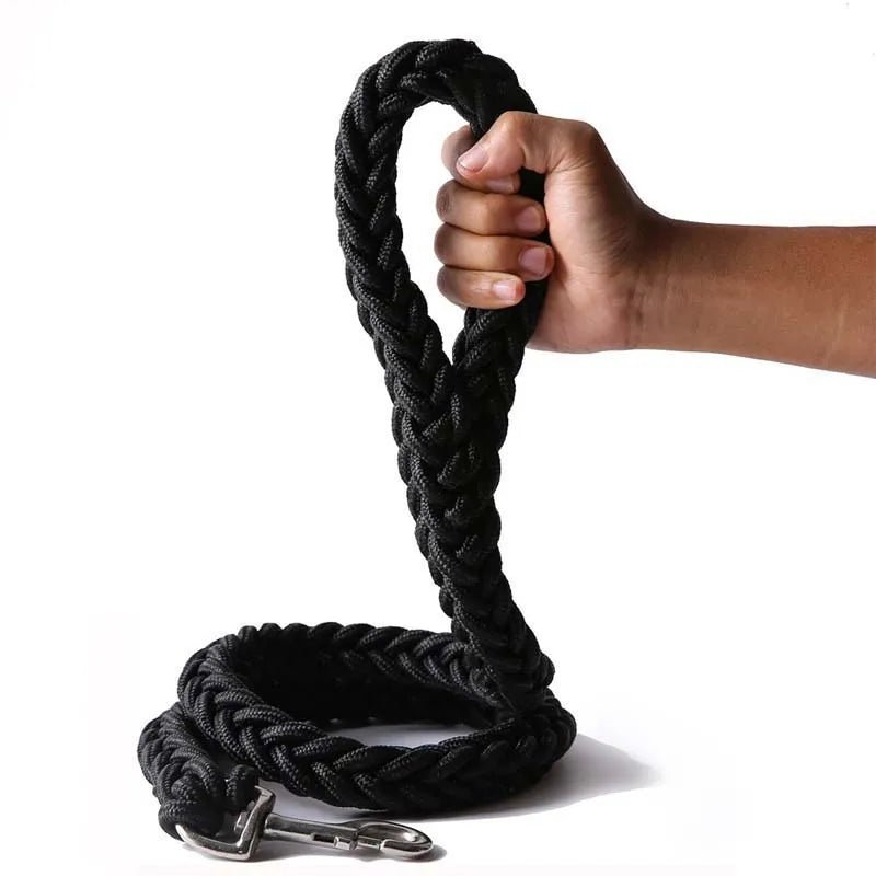 Laisse corde gros chien noir