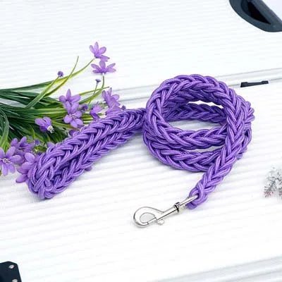 Laisse corde gros chien violet