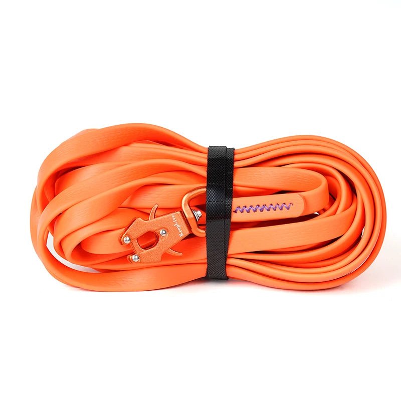 Laisse de dressage pour chien orange