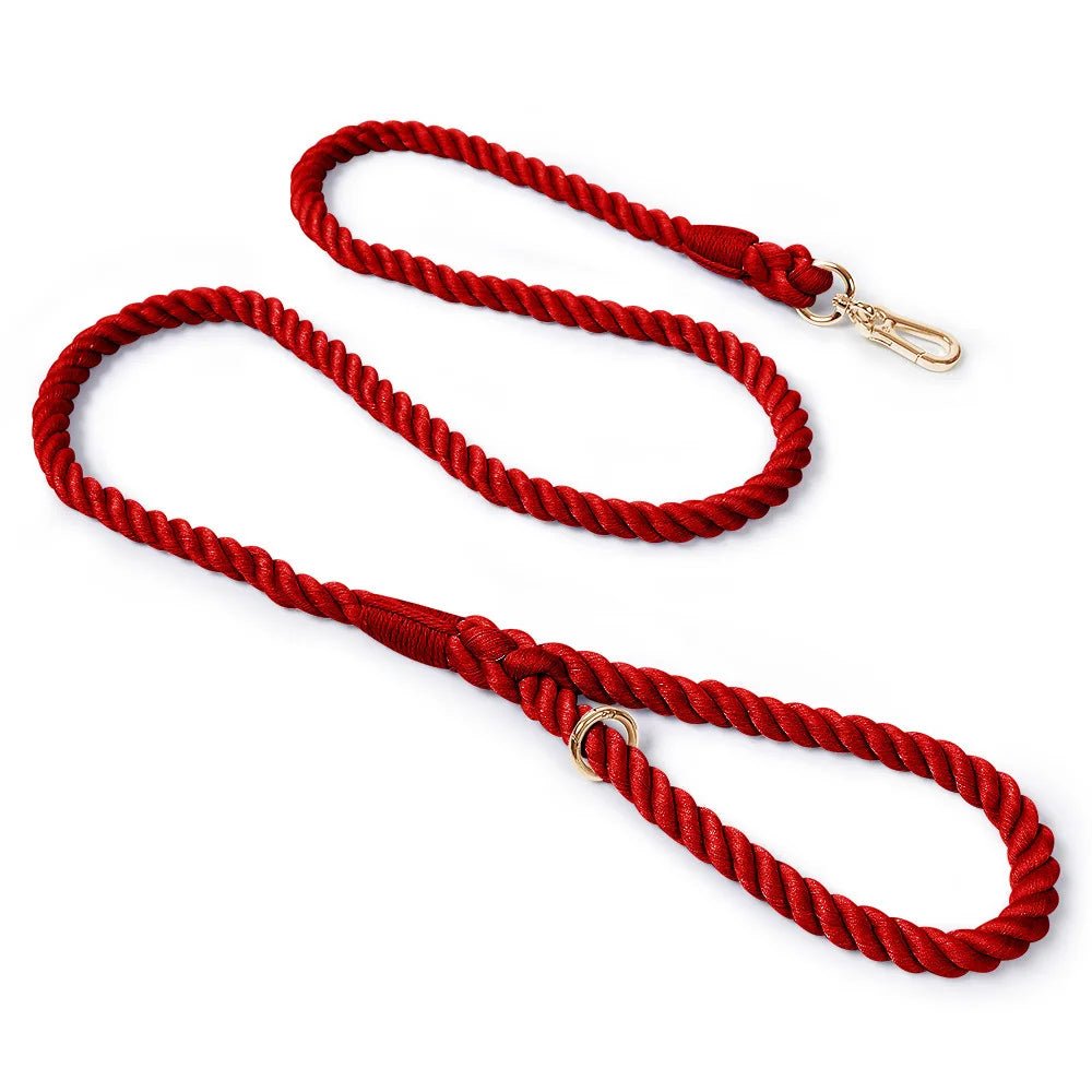 Laisse de présentation pour chien rouge