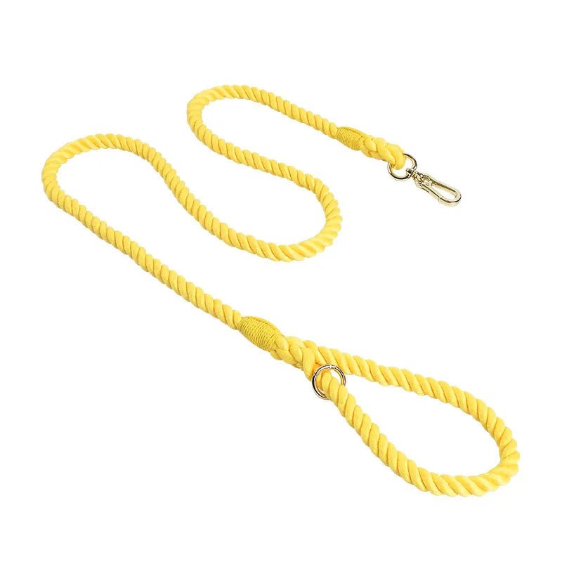Laisse de presentation pour chien jaune