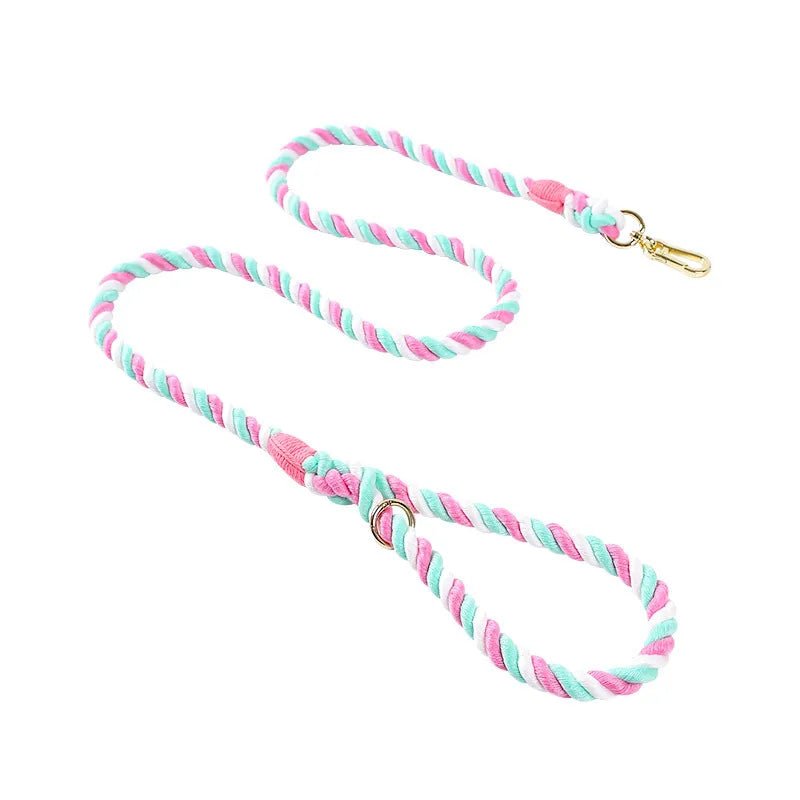 Laisse de présentation pour chien rose et bleu 