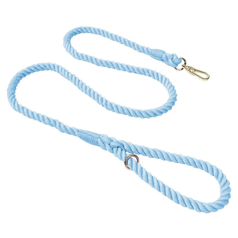 Laisse de presentation pour chien bleu claire