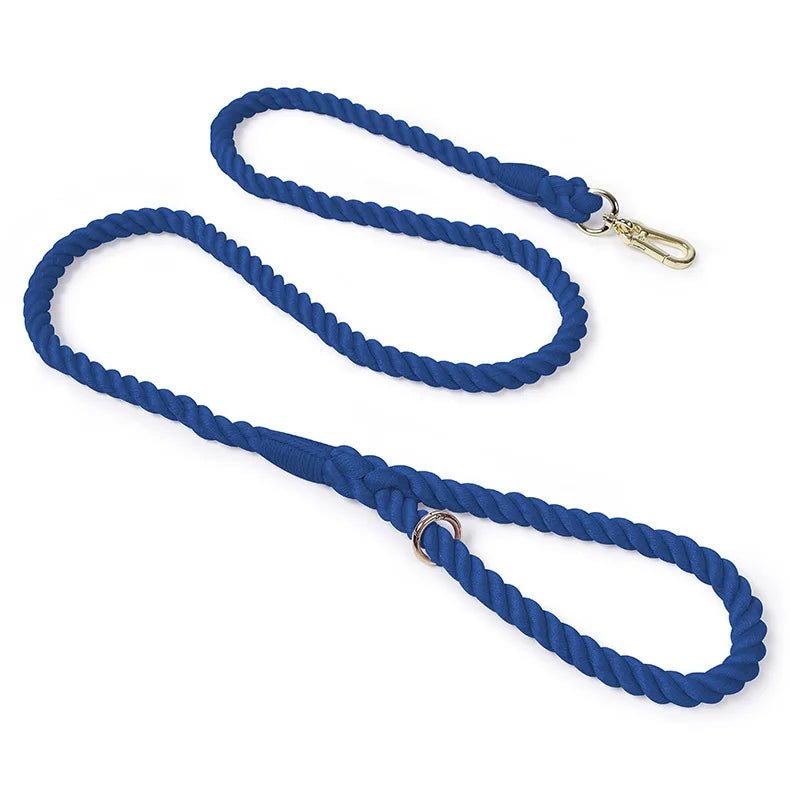 Laisse de presentation pour chien bleu