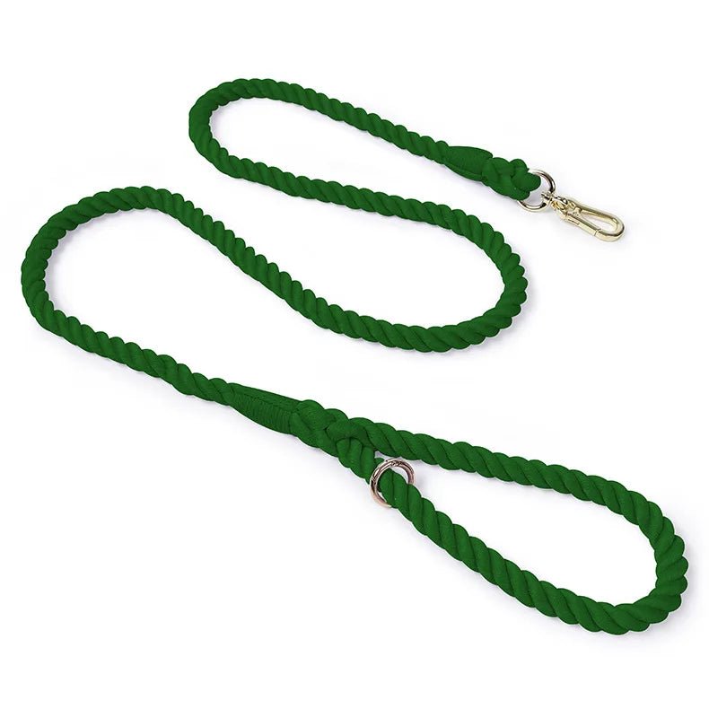 Laisse de presentation pour chien vert foncé