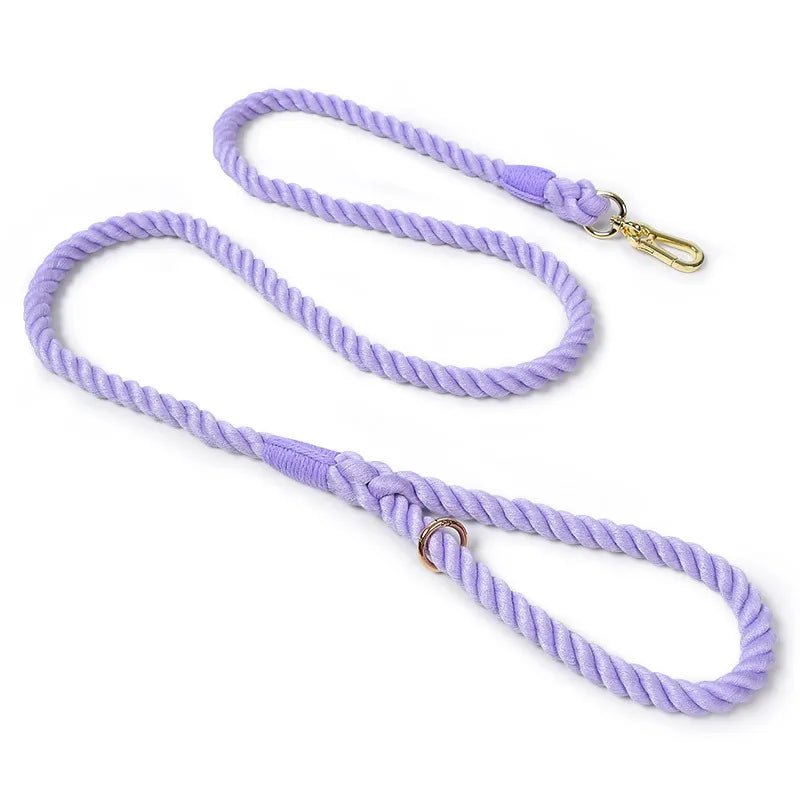 Laisse de présentation pour chien violet