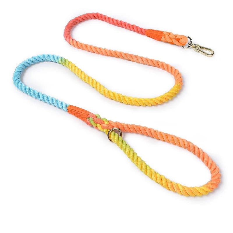 Laisse de présentation pour chien orange bleu et jaune