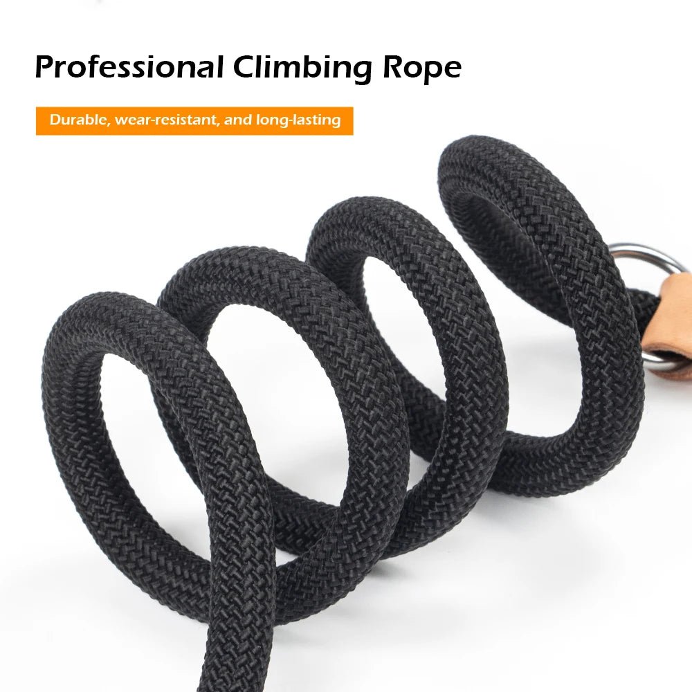 Laisse double attache pour chien professionnel