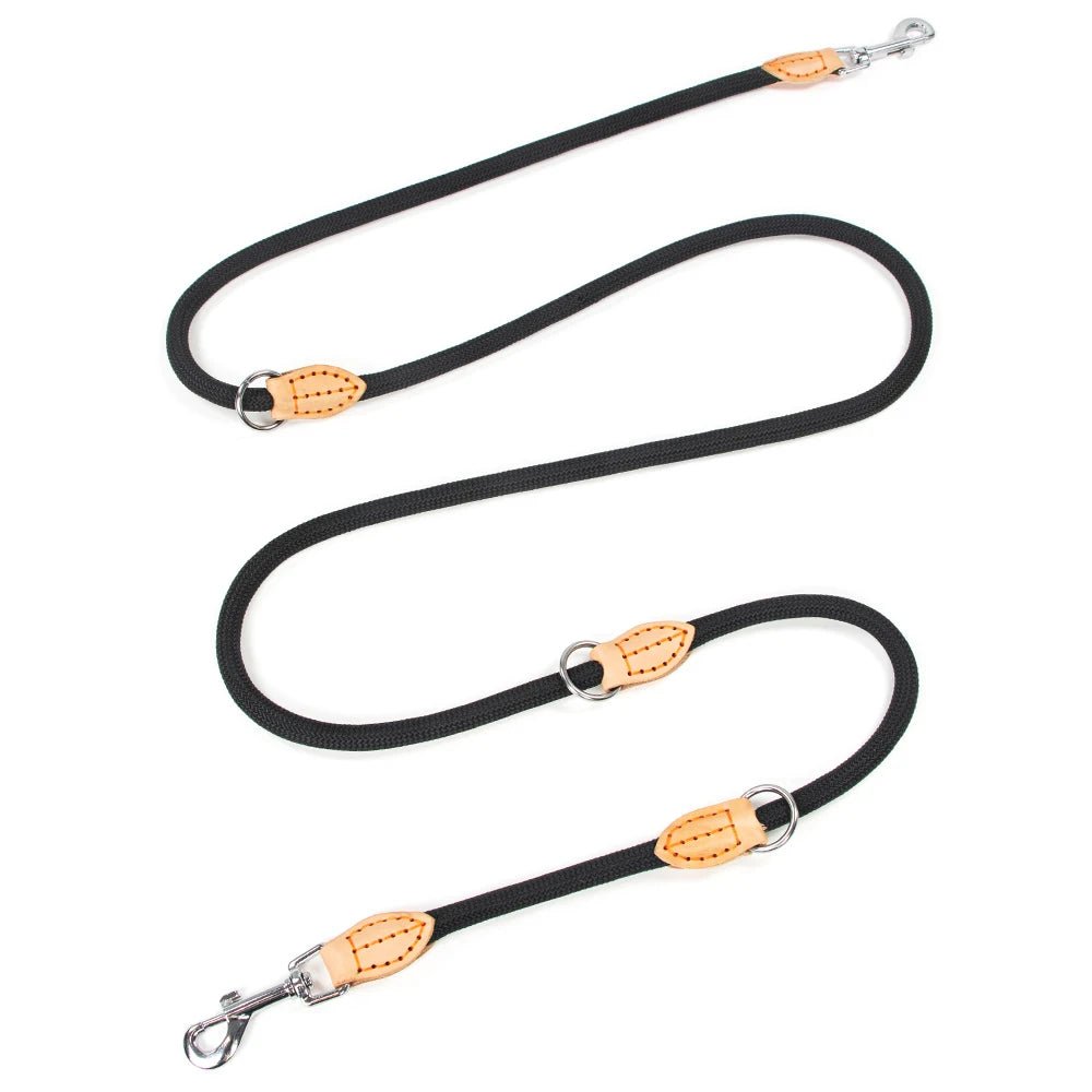 Laisse double attache pour chien noir