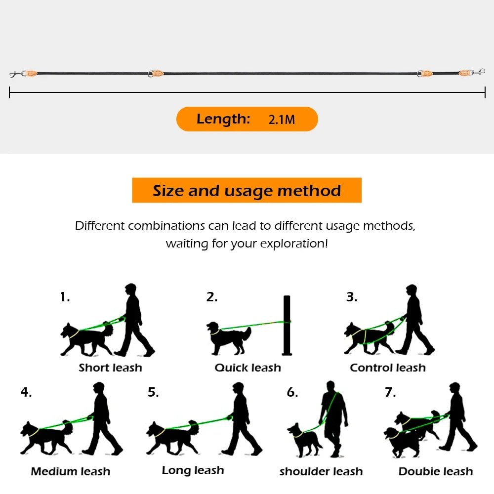 Laisse double attache pour chien dimensions