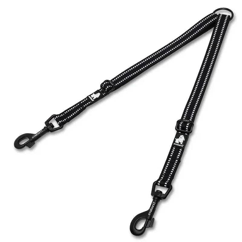 Laisse double chien de chasse gris