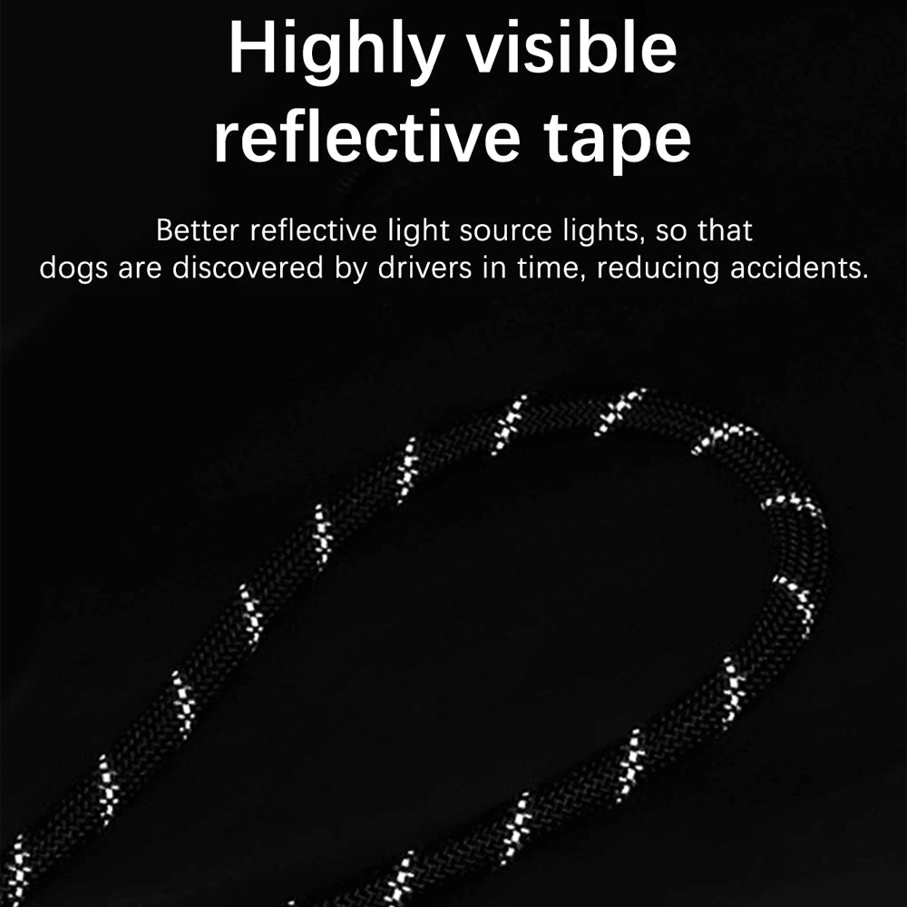 Laisse double pour 2 chiens reflechissante
