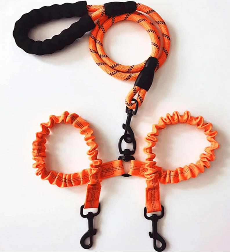 laisse double pour chien de couleur orange et résistant avec extension de laisse extensive. Laisse pour chien rembourré de Boutiquechien