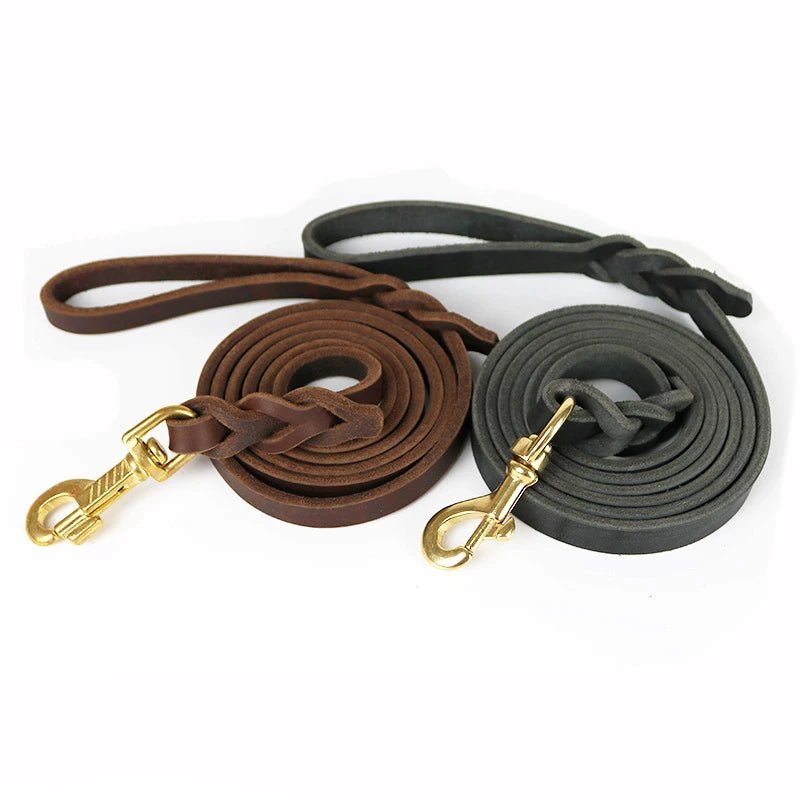 Laisse en cuir pour gros chien double couleurs