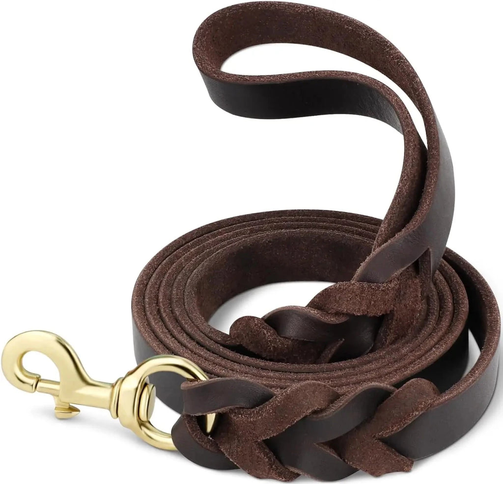 Laisse en cuir pour gros chien de couleur brun