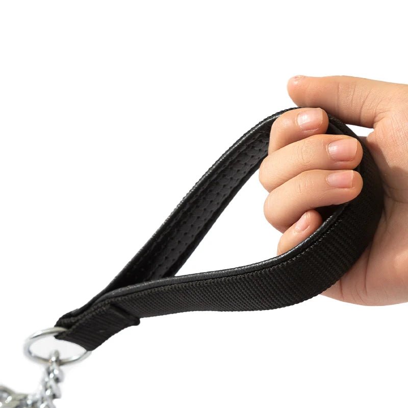 Laisse en metal pour chien poignee