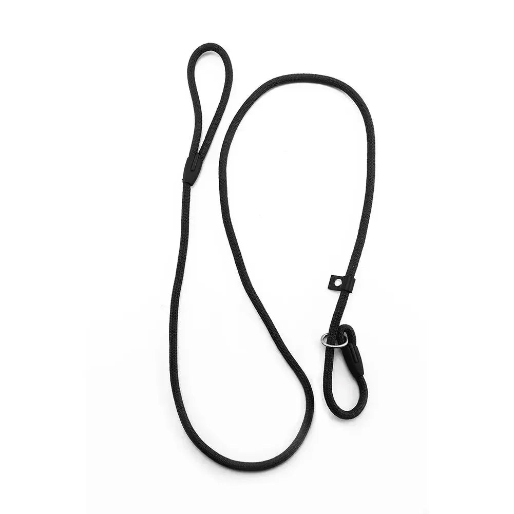 Laisse lasso avec arrêtoir noir mis en valeur dans un fond blanc