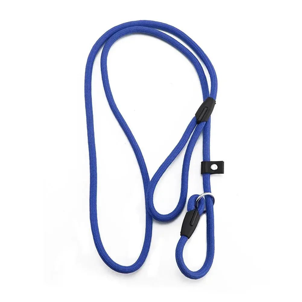 Laisse lasso avec arrêtoir bleu