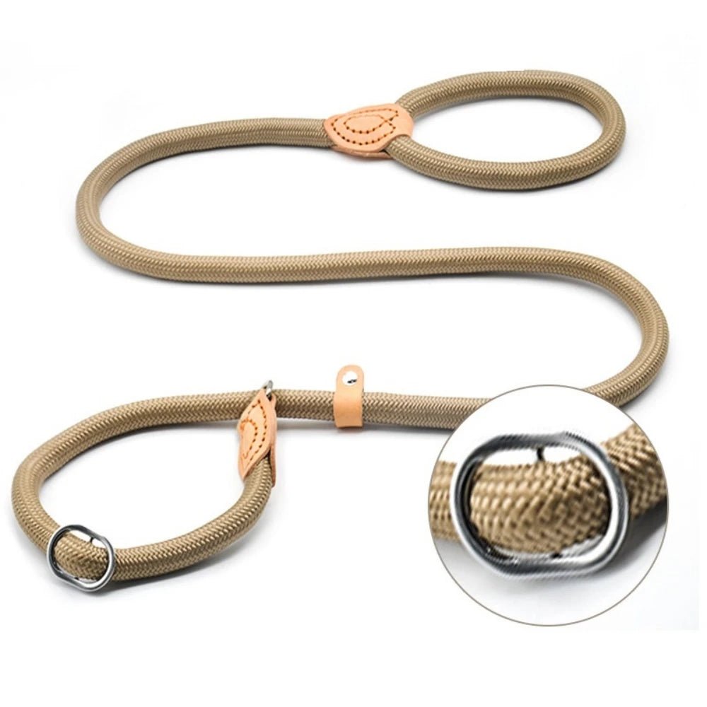 Laisse lasso avec frein avec une attache métallique sur la laisse 