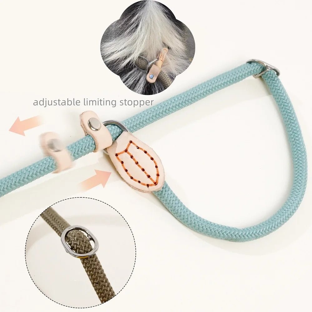Laisse lasso avec frein ajustable 