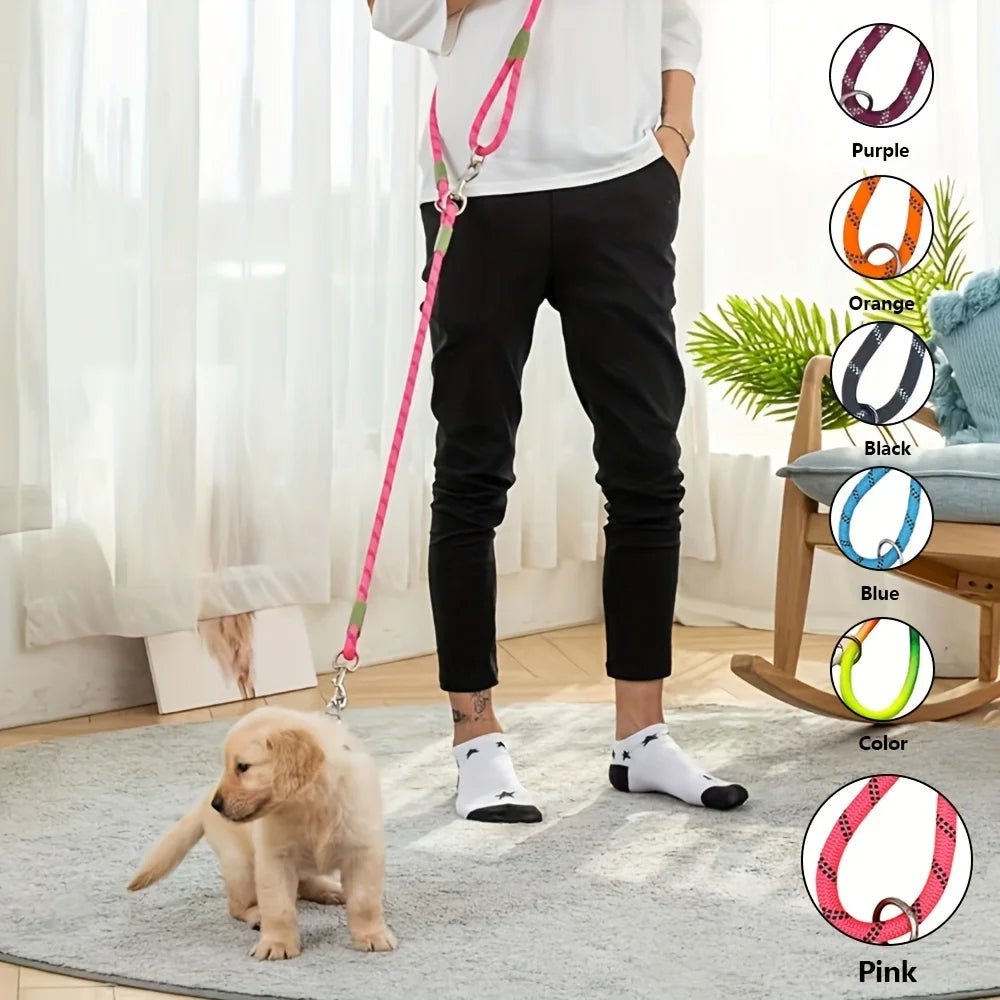 Laisse lasso chiot de différentes couleurs