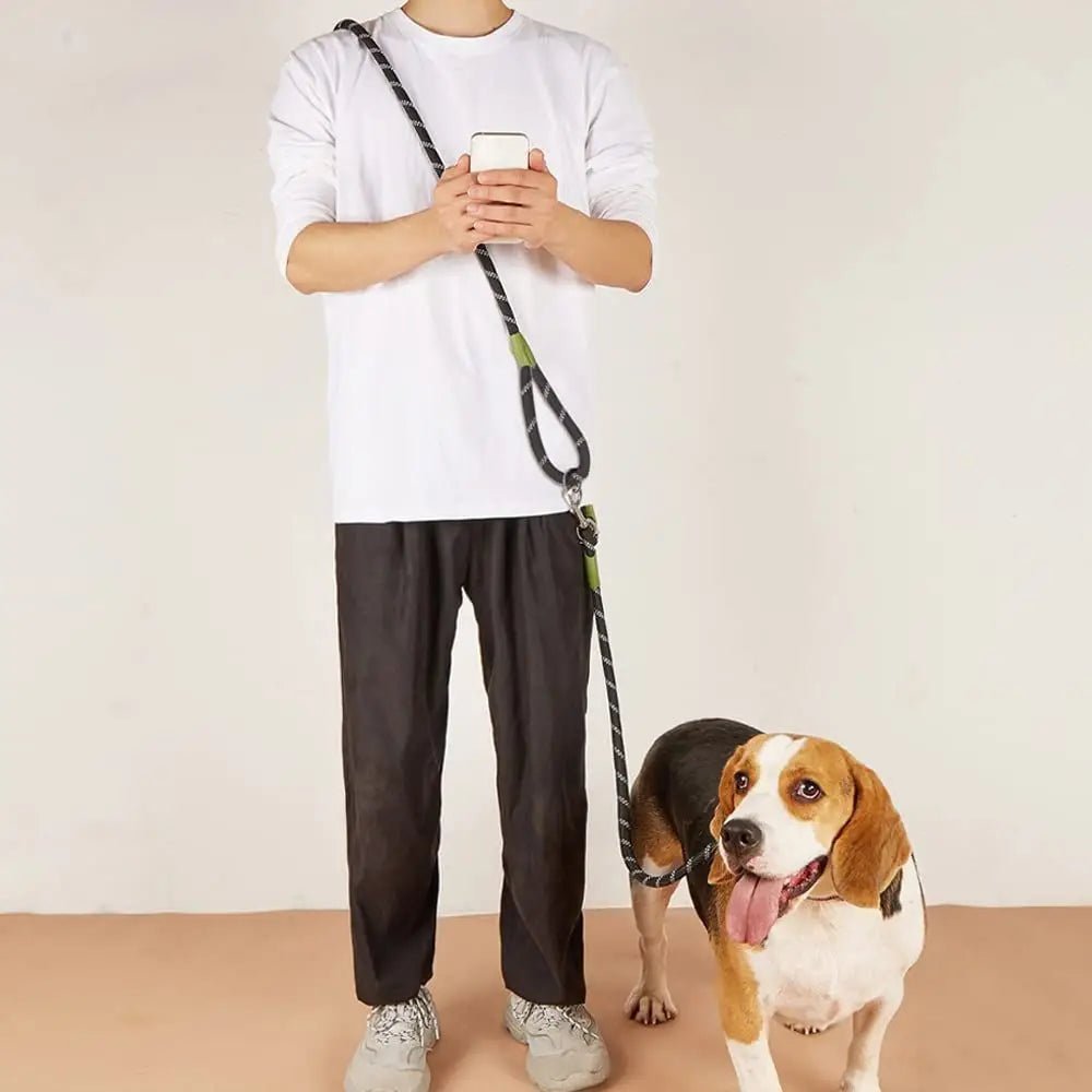 Laisse lasso chiot avec une personne habille  en claire tenant un chien claire