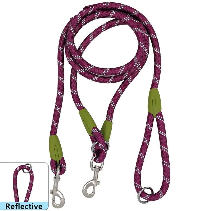 laisse lasso de couleur violette et verte réflective. Image produit Boutiquechien 