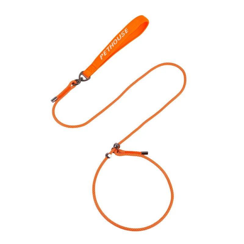 Laisse lasso chien qui tire orange 