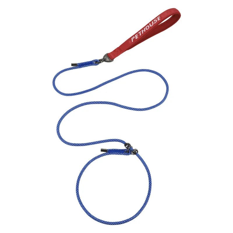 Laisse lasso chien qui tire bleu 