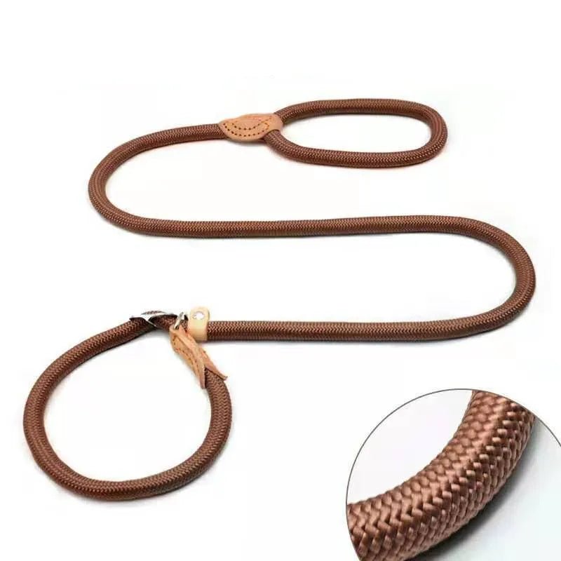 Laisse lasso chiot brun
