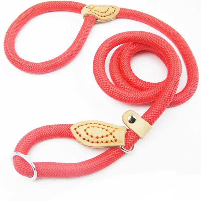 Laisse lasso chiot rouge