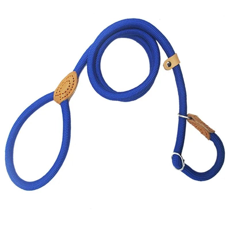Laisse lasso chiot bleu