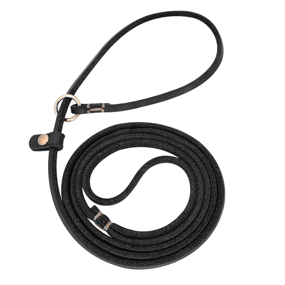 Laisse lasso cuir noir