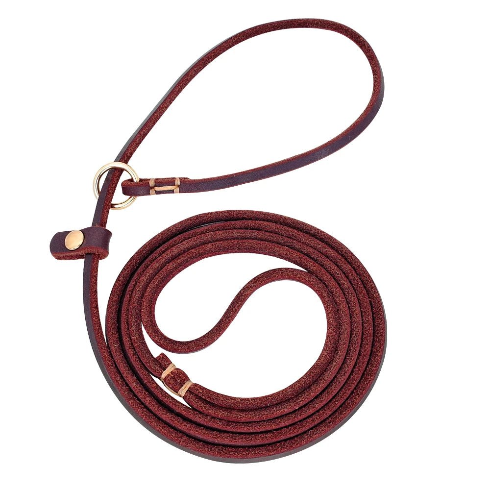Laisse lasso cuir rouge 