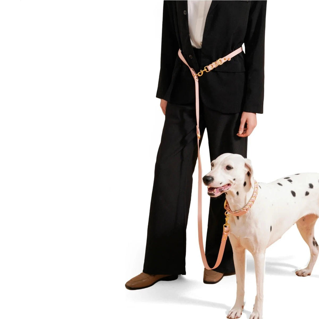 laisse lasso pour chien design. Avec une femme élégante habillé en noir en tenant son chien avec la laisse lasso en caoutchouc rose. Image produit Boutiquechien
