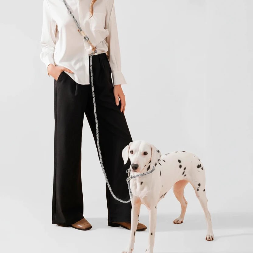 laisse lasso design pour chien. Une femme élégante promène son dalmatien. Image produit Boutiquechien 