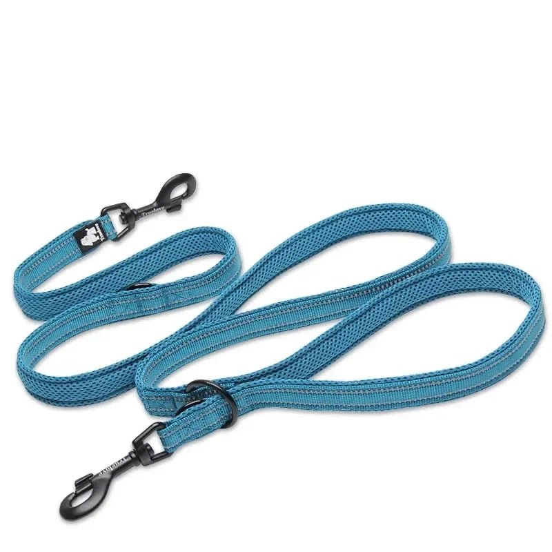 Laisse lasso dressage bleu