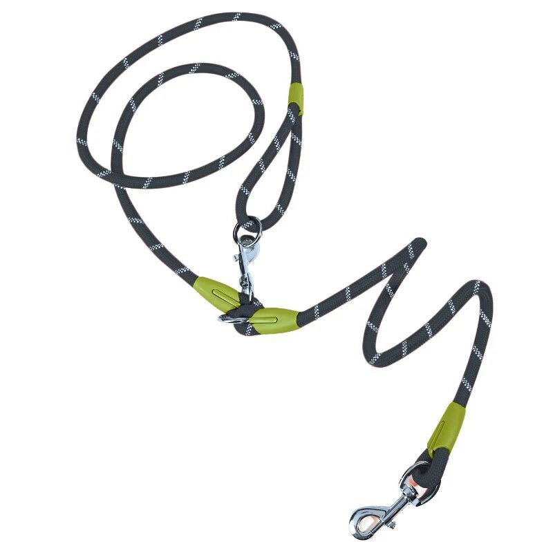 Laisse lasso pour chiot noir et vert
