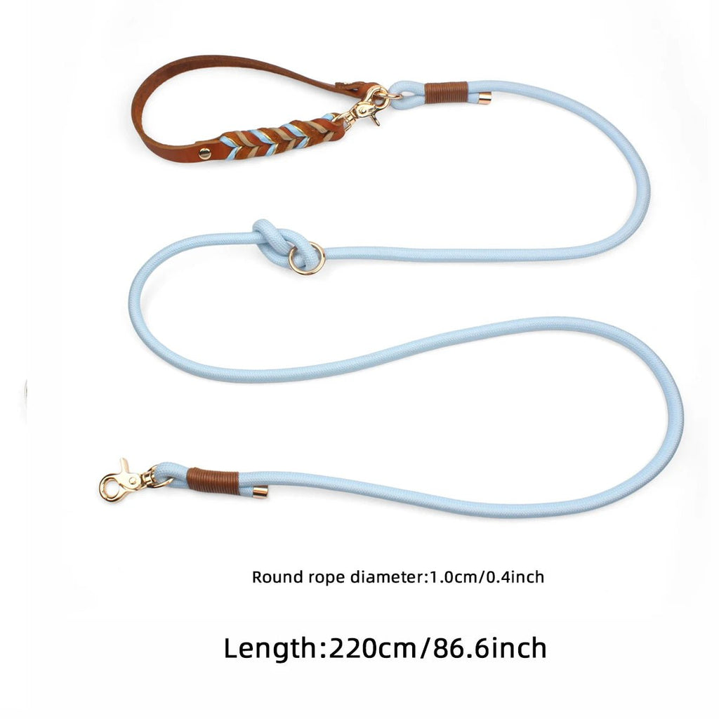 Laisse lasso pour gros chien dimension
