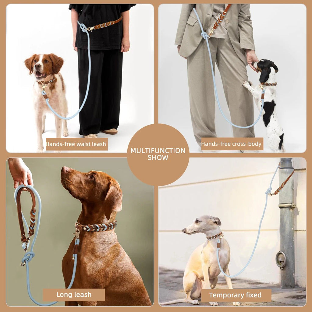 Laisse lasso pour gros chien avantages du produit 
