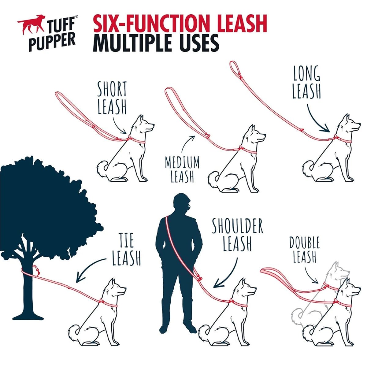 Laisse lasso pour gros chien fonctionnement 