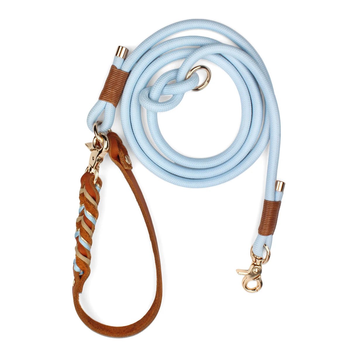 Laisse lasso pour gros chien bleu