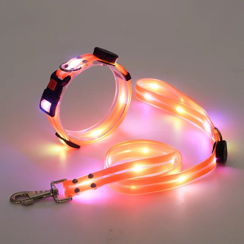 Laisse lumineuse pour chien orange