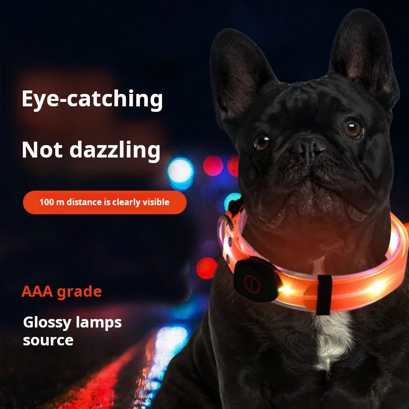 Laisse lumineuse pour chien fonctionnement du produit 