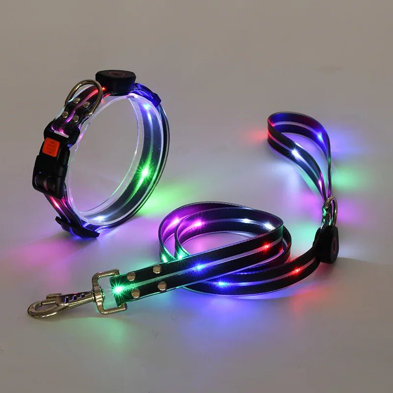Laisse lumineuse pour chien noir