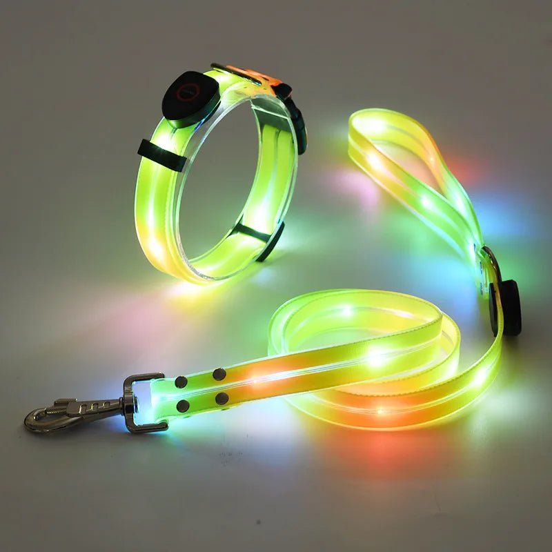 Laisse lumineuse pour chien jaune