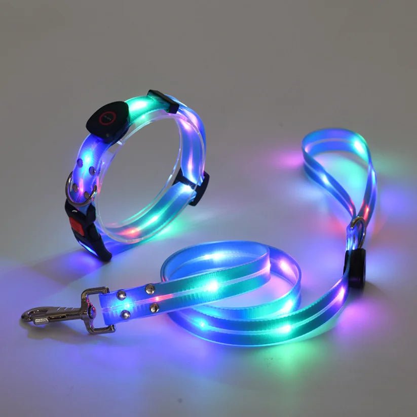 Laisse lumineuse pour chien bleu