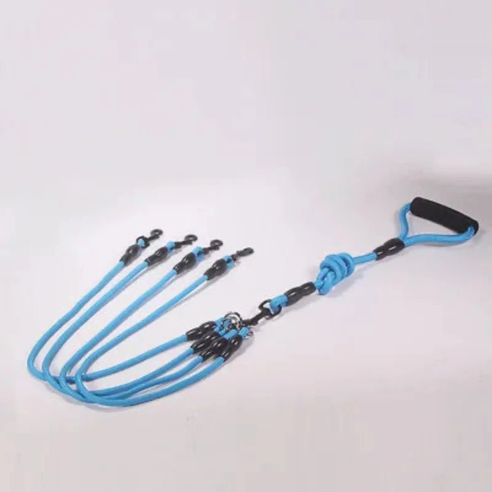 laisse triple pour chien de couleur bleu en nylon résistant et durable. Laisse double parfaite pour deux chiens. Image produit Boutiquechien
