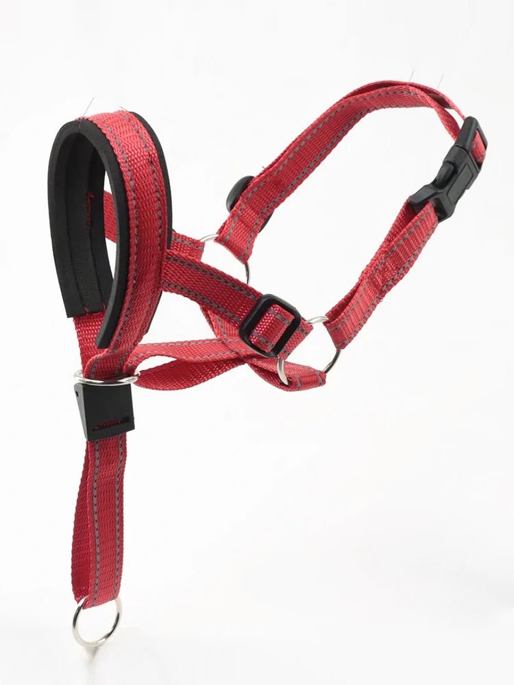 Laisse museau pour chien rouge